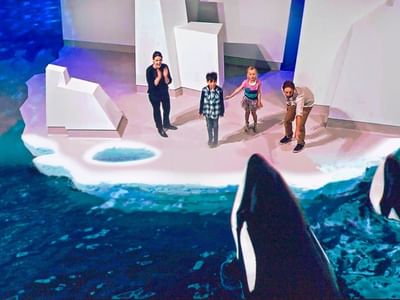 Whales show in Antarctic Journey at Silverwater Resort